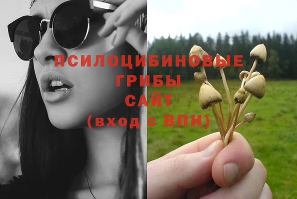 стаф Ладушкин
