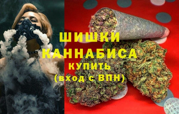 стаф Ладушкин