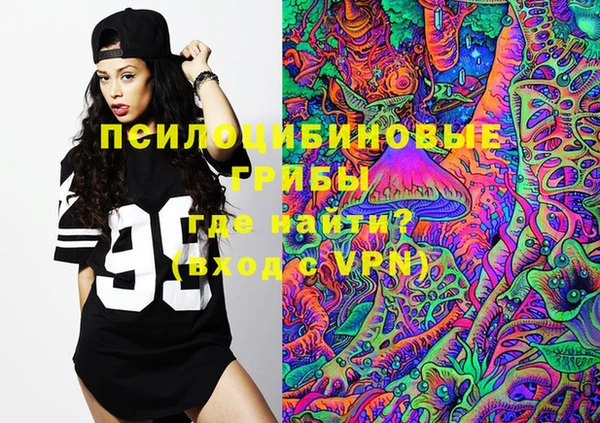 тгк Кукмор