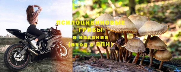 дживик Кулебаки