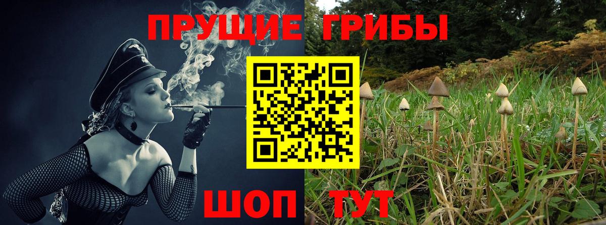 Псилоцибиновые грибы мицелий Нефтеюганск